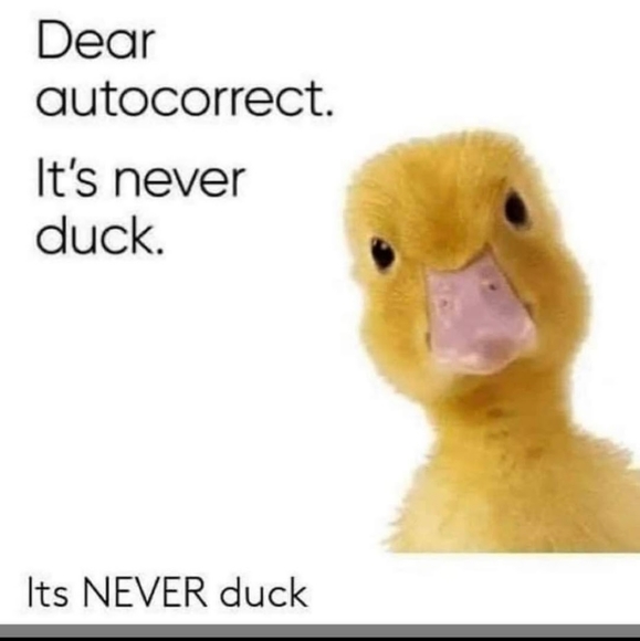 Meet your Posher, Diane Elizabeth - Picture 10 of 13